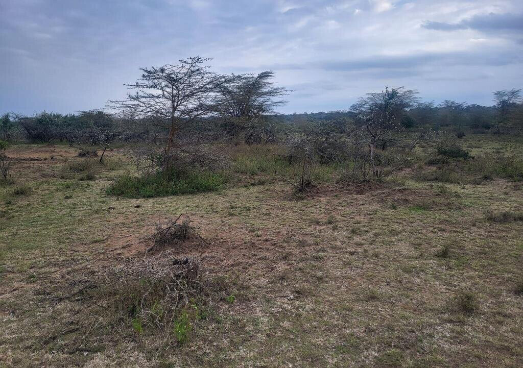 4-Acre Land in Narok