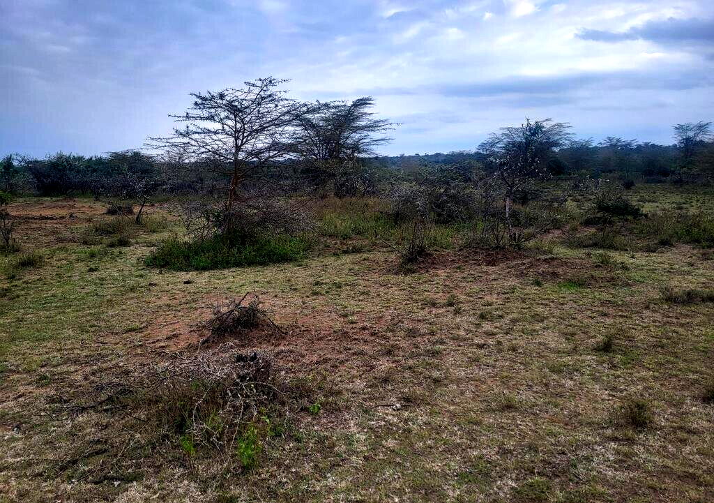 4-Acre Land in Narok
