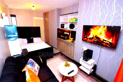 Furnished 1bdrm Bedsitter in Plainsview, South B for rent - Image 1