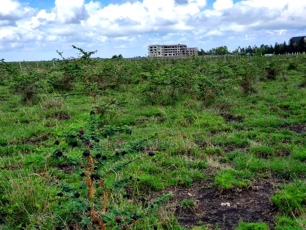 Prime 1 Acre Plot for Sale at Kantafu Kangundo Road