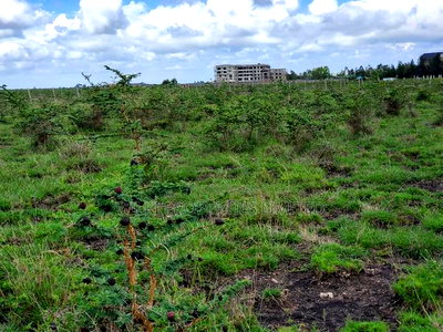 Prime 1 Acre Plot for Sale at Kantafu Kangundo Road - Image 3