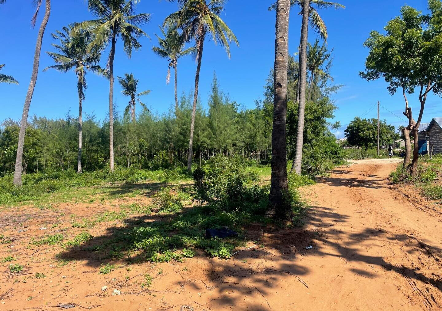 56-Acre Watamu Gem for KSh 6M