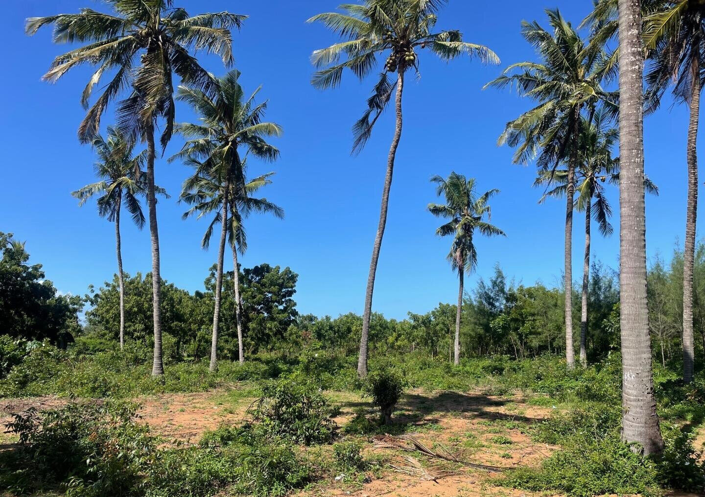 56-Acre Watamu Gem for KSh 6M