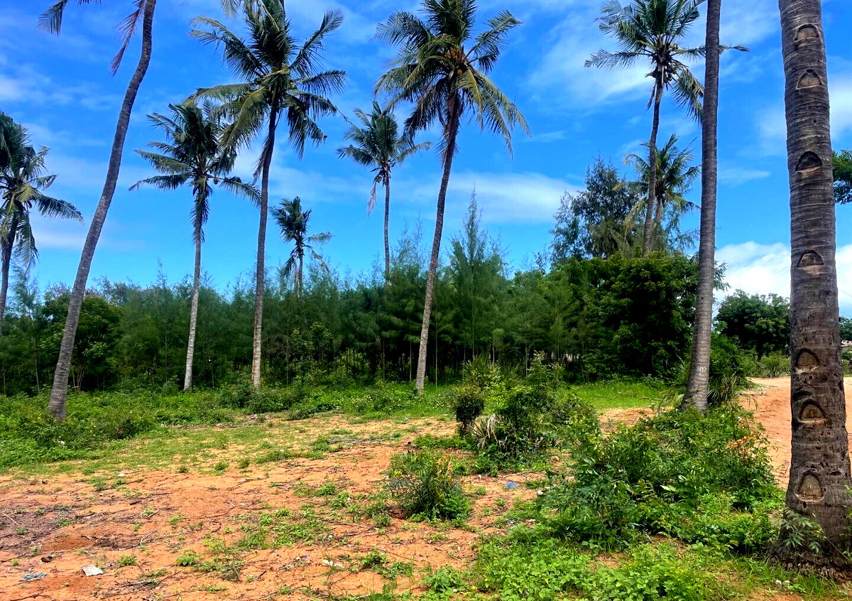 56-Acre Watamu Gem for KSh 6M