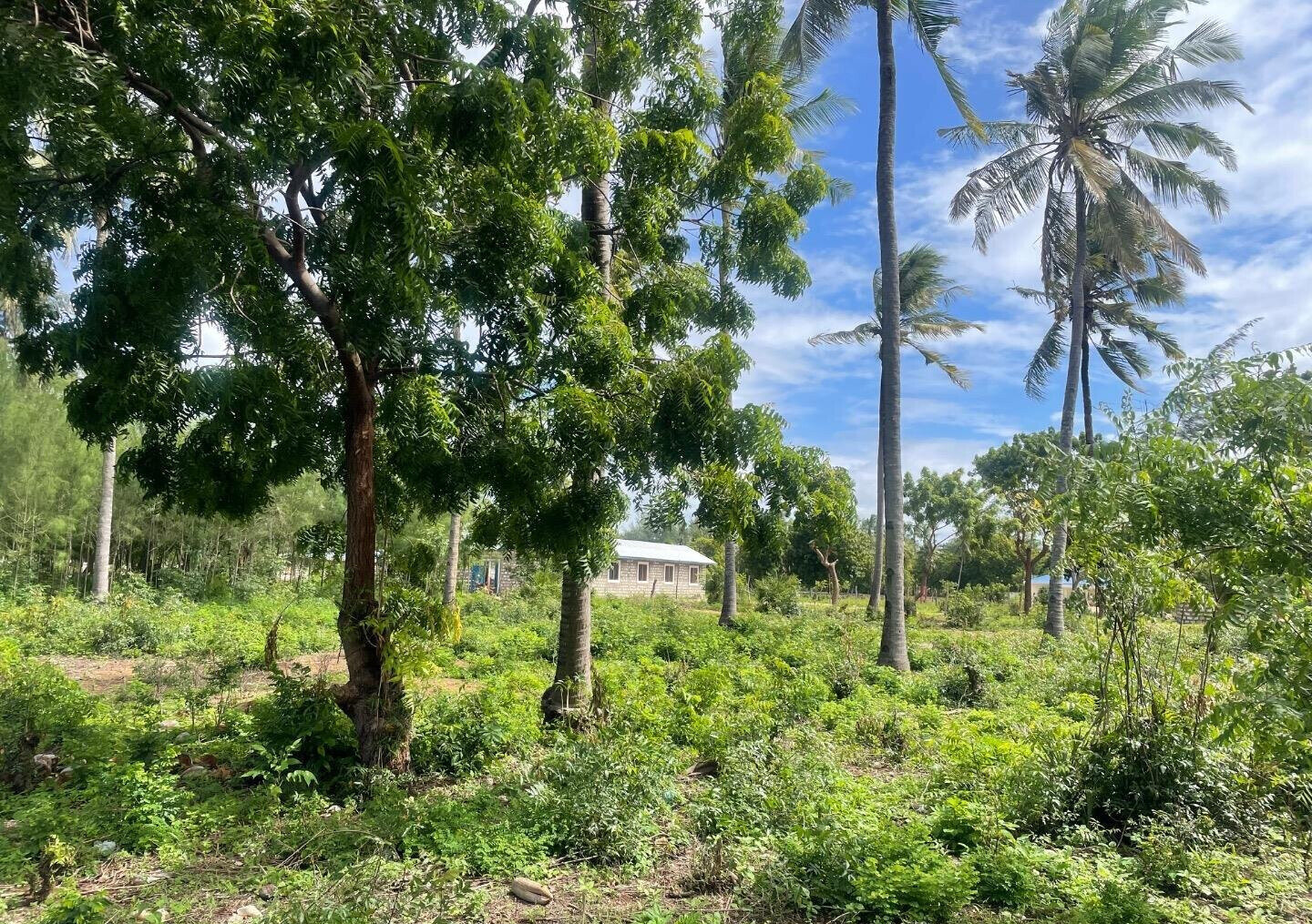 56-Acre Watamu Gem for KSh 6M