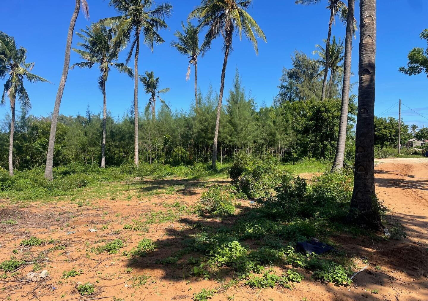 56-Acre Watamu Gem for KSh 6M