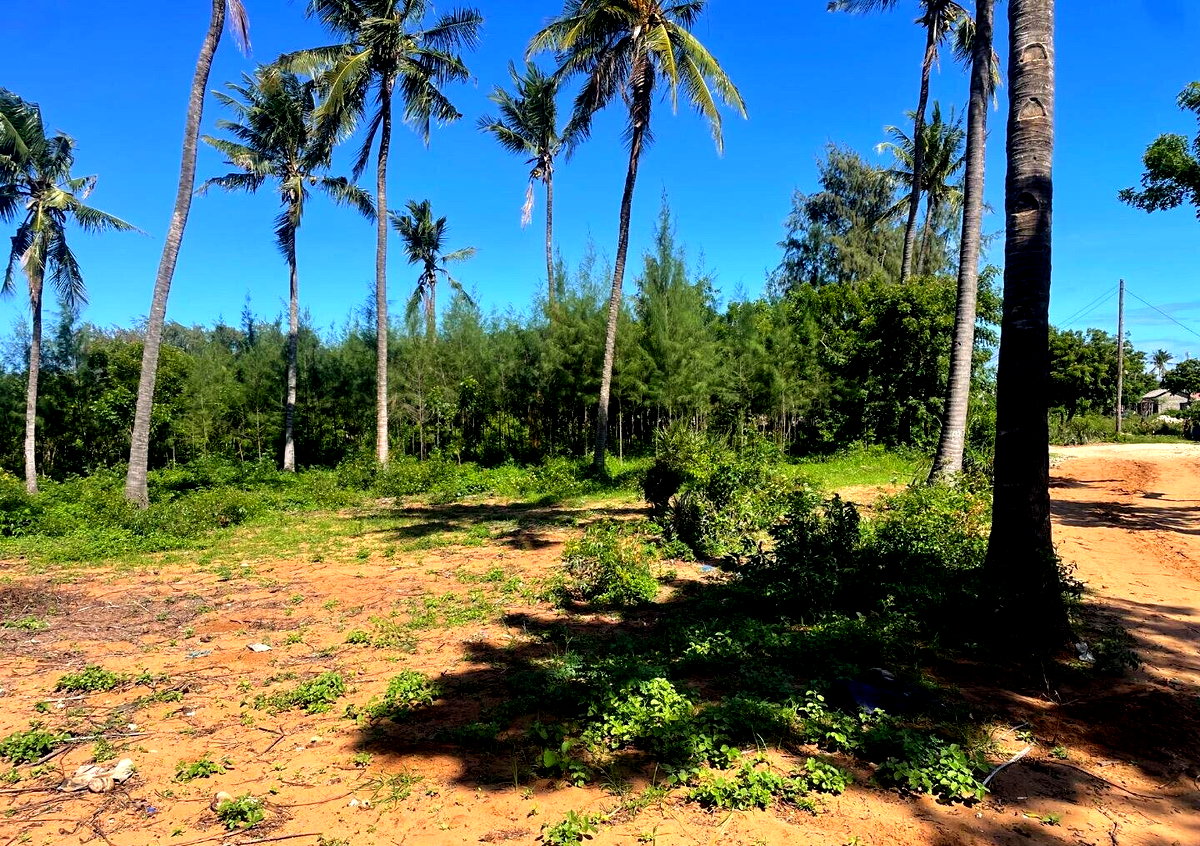 56-Acre Watamu Gem for KSh 6M
