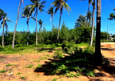 56-Acre Watamu Gem for KSh 6M