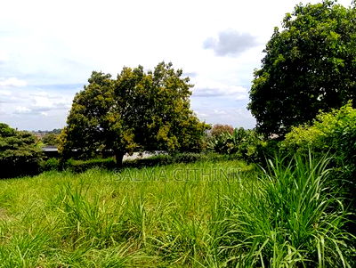 Prime Commercial Plot for Sale in Muthure (Western Bypass) - Image 2