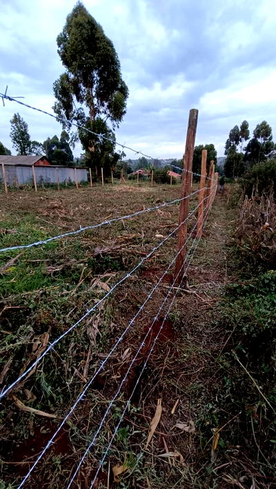 Prime Affordable Plots in Kikuyu Kerwa Off Waiyaki Way - Image 5