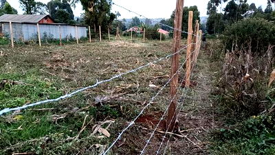 Prime Affordable Plots in Kikuyu Kerwa Off Waiyaki Way - Image 4