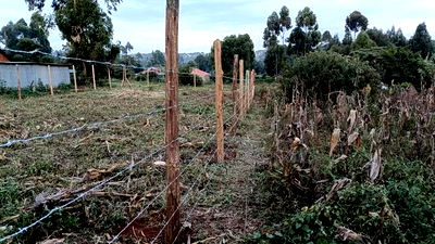 Prime Affordable Plots in Kikuyu Kerwa Off Waiyaki Way - Image 2