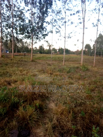 Commercial/Residential Plot at Kenol for Sale. 40 X80ft - Image 1