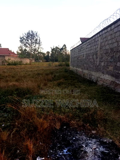 Commercial/Residential Plot at Kenol for Sale. 40 X80ft - Image 3
