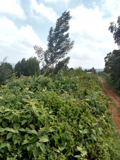 Land on Sale at Nyakairu Naivasha - Image 6