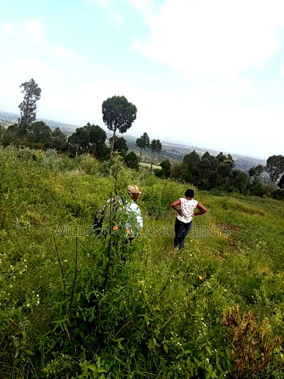 Land on Sale at Nyakairu Naivasha - Image 1