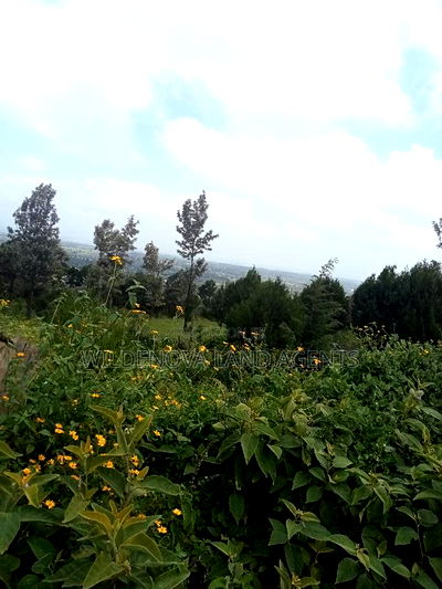 Land on Sale at Nyakairu Naivasha - Image 4