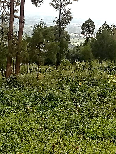 Land on Sale at Nyakairu Naivasha - Image 5