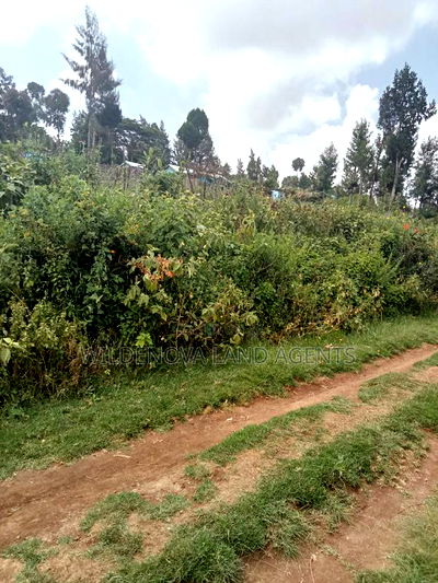 Land on Sale at Nyakairu Naivasha - Image 2