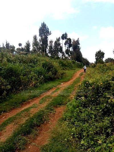Land on Sale at Nyakairu Naivasha - Image 3