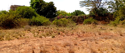 Quarter Acre Plot at KSh 11M