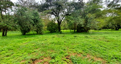 5-Acre Garden Land in Karen