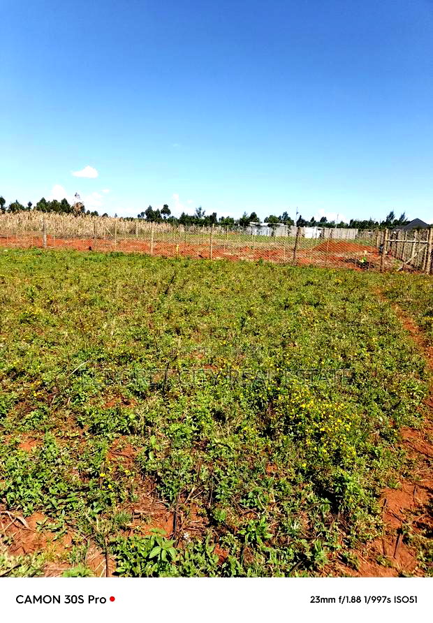 1/8 Kiplombe Kibulgeny With Title