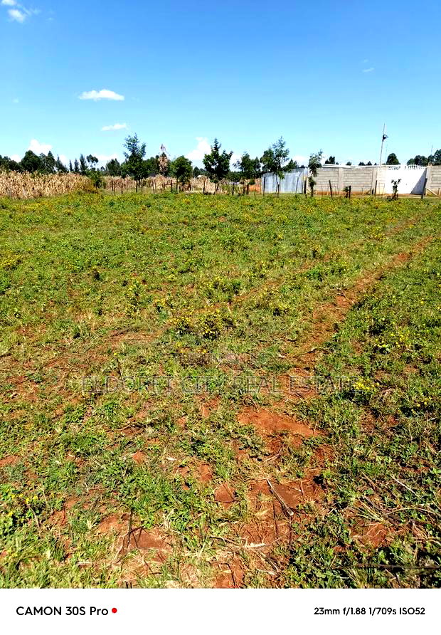 1/8 Kiplombe Kibulgeny With Title