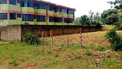 0.5 Acres in Kakamega - Image 8