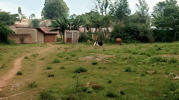 0.5 Acres in Kakamega