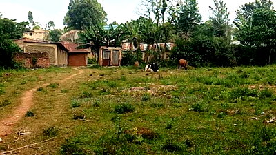 0.5 Acres in Kakamega - Image 2