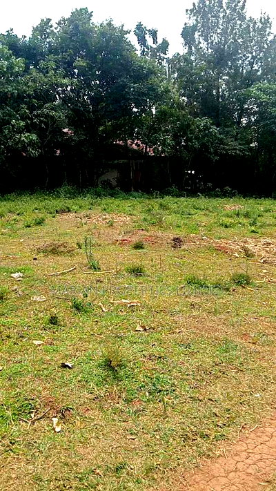 0.5 Acres in Kakamega - Image 4