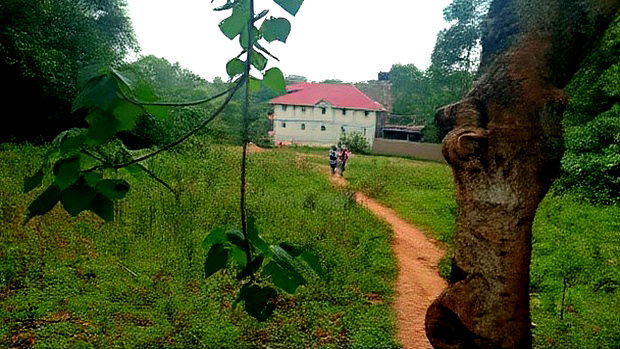 0.5 Acres in Kakamega