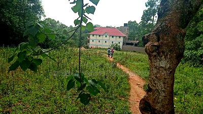 0.5 Acres in Kakamega - Image 1