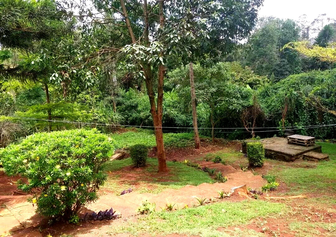 3/4 Acre Garden Oasis for KSh 75M