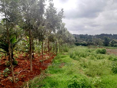 Prime Residential 50 by 100 Fts for Sale Kamangu, Migumoini - Image 9
