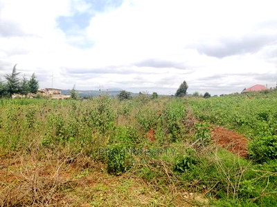 Prime Residential 50 by 100 Fts for Sale Kamangu, Migumoini - Image 3