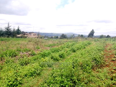 Prime Residential 50 by 100 Fts for Sale Kamangu, Migumoini - Image 7