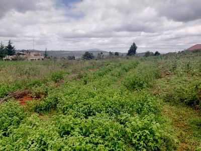 Prime Residential 50 by 100 Fts for Sale Kamangu, Migumoini - Image 5