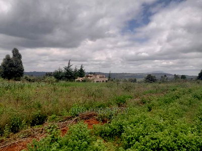 Prime Residential 50 by 100 Fts for Sale Kamangu, Migumoini - Image 6