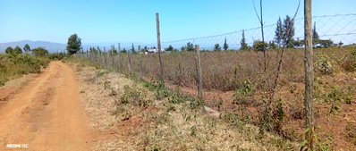 2-Acre Land with Electricity in Kabarak