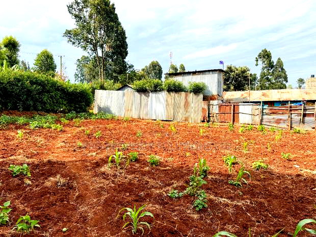 Prime 1/8 Acre Commercial Plot for Sale in Kikuyu, Kinoo
