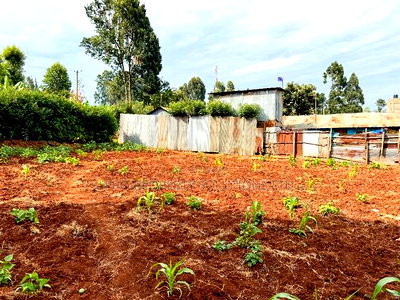 Prime 1/8 Acre Commercial Plot for Sale in Kikuyu, Kinoo - Image 4