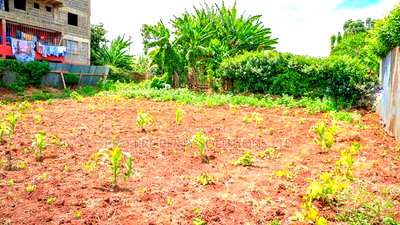 Prime 1/8 Acre Commercial Plot for Sale in Kikuyu, Kinoo - Image 8