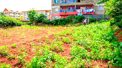 Prime 1/8 Acre Commercial Plot for Sale in Kikuyu, Kinoo - Image 5