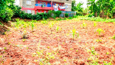 Prime 1/8 Acre Commercial Plot for Sale in Kikuyu, Kinoo - Image 11