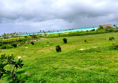 12-Acre Beachfront Land for KSh 120M