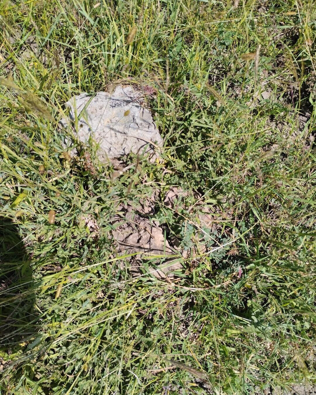 1/8 Acre Plot in Kamakis