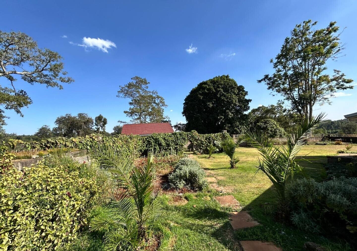 Half-Acre 4BR Farmhouse in Kiambu