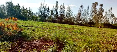 Sakwa Bondon Nyawita - Image 1